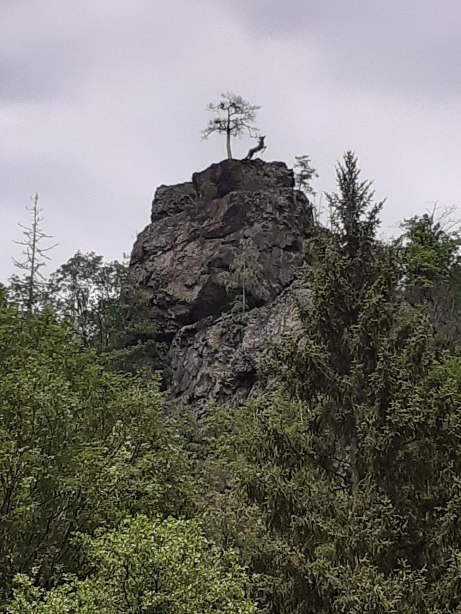 Ferienhaus Am See Lichtenberg Bayern Frankenwaldsee Ngoại thất bức ảnh